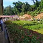 Lahan Praktek keahlian ATPH